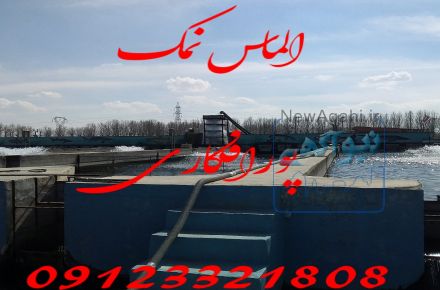 نمک ضد جلبک. نمک شست وشو. نمک پودری. نمک نمکدان