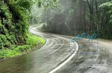 تور طبیعتگردی جنگل گیسوم