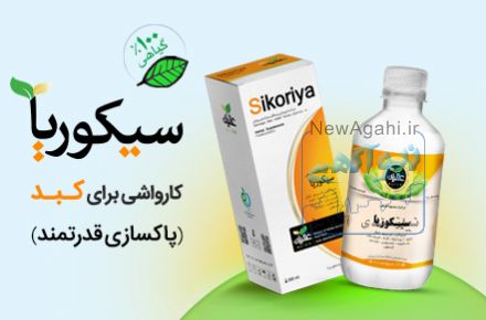 فروشگاه اینترنتی عالیان سبز
