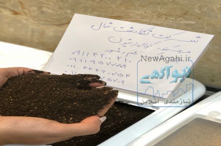 فروش کنجاله زیتون خوراک دام و طیور