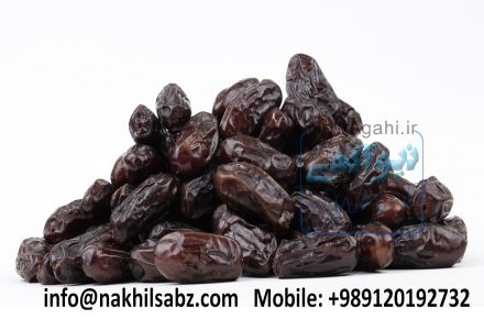 فروش خرمای ربی 