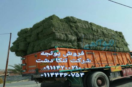 فروش یونجه خوراک دام