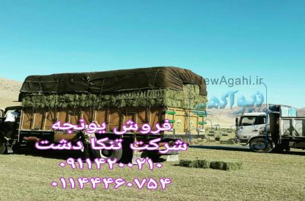 فروش یونجه خوراک دام
