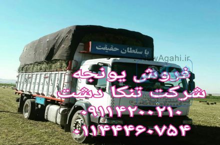 فروش یونجه خوراک دام
