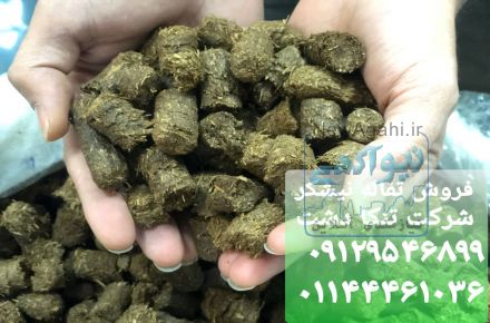 فروش تفاله یا باگاس نیشکر خوراک دام