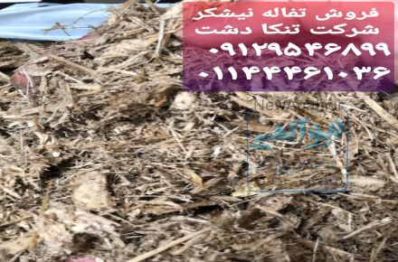 فروش تفاله یا باگاس نیشکر خوراک دام