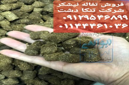 فروش تفاله یا باگاس نیشکر خوراک دام