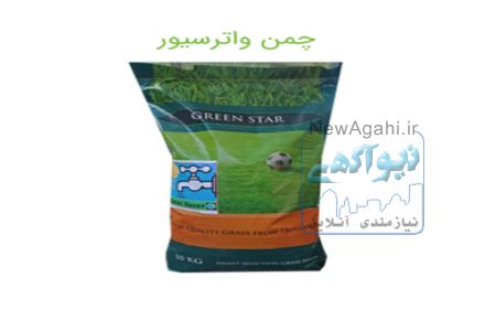 بذر چمن فستوکا, فروش بذر چمن فستوکا, قیمت بذر چمن فستوکا, بذر چمن مقاوم به سایه, بذر چمن کم آب, بذر چمن واترسیور