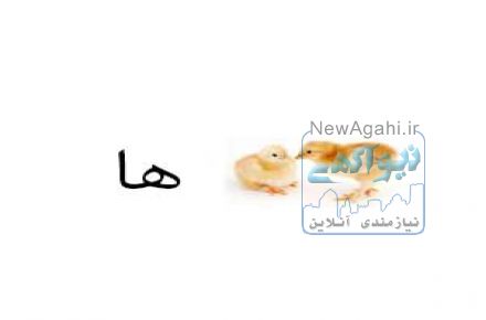 فروش قفس چوبی مرغ
