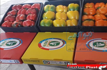 جعبه میوه کارتن پلاست